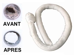 BIO7 COLONNES