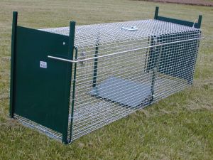 CAGE A FOUINES DEUX ENTREES