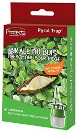 PYRALE DU BUIS - Phéromones