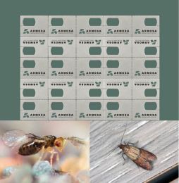 TRICHOGRAMMES - Anti-mites